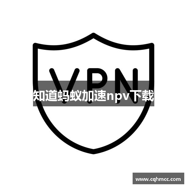 知道蚂蚁加速npv下载